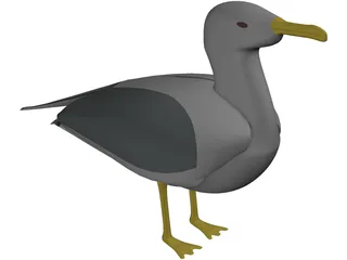 Seagull Standing 3D Model