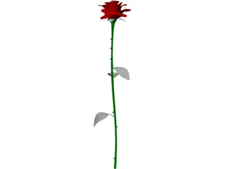 Rose 3D Model