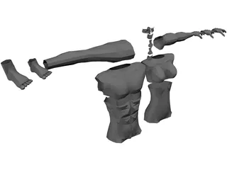 Modular Body Parts 3D Model