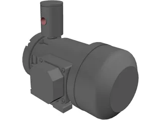 Pomp 3D Model