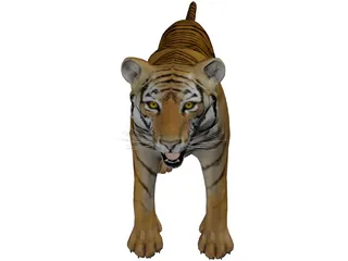 Bengal tiger 3d model - CadNav