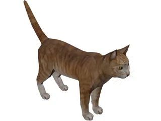 Cat 3D Model