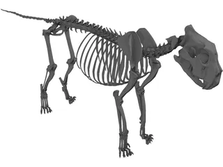 Lion Skeleton 3D Model