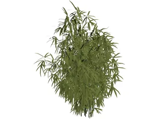 Bamboo Cluster Small 3D Model