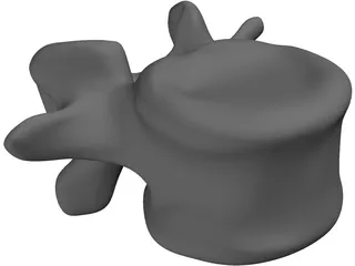 Vertebral Body 3D Model