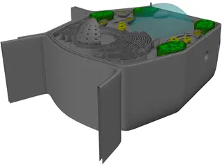 Plant Cell 3D Model