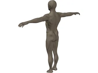 Man 3D Model