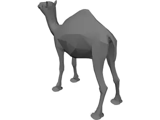 Dromedary 3D Model