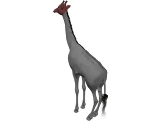 Giraffe 3D Model