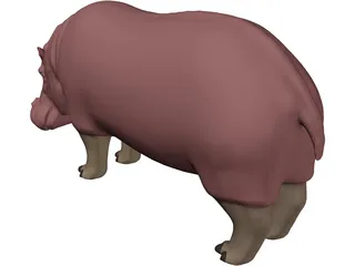 Hippopotamus 3D Model