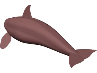 Whale Killer Female 3D Model