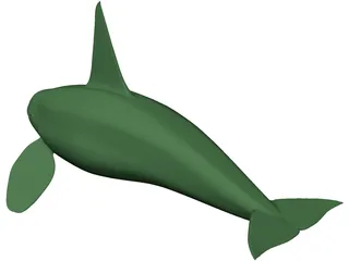 Whale Killer Male 3D Model