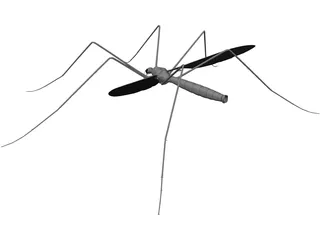 Mosquito 3D Model