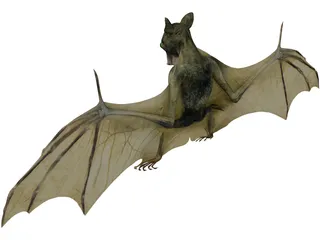 Bat 3D Model