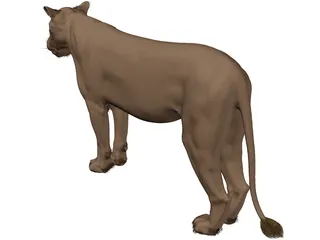 Lioness 3D Model