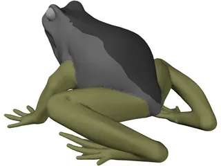 Frog 3D Model