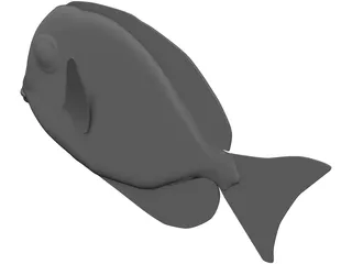 Amblyrhyncotes 3D Model