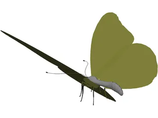 Butterfly 3D Model