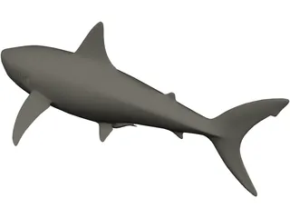 Shark White Male 3D Model