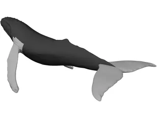 Whale Humpback 3D Model