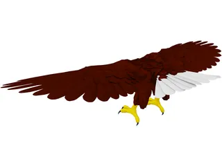 Eagle 3D Model