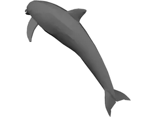 Dolphin 3D Model