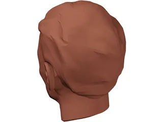 Face Muscles and Head 3D Model