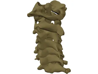 Vertebrae Cervical 3D Model