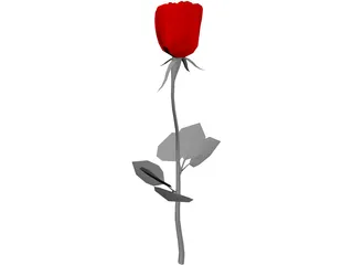 Rose 3D Model