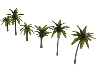 Palm Collection 3D Model