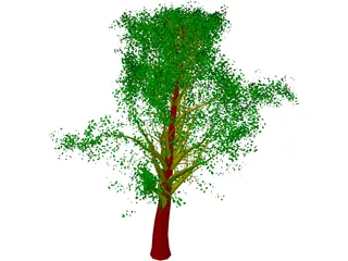 Tree 3D Model