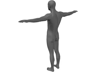 Human Body Male 3D Model