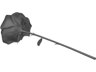 Rose 3D Model