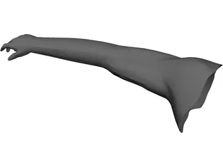 Arm Male 3D Model