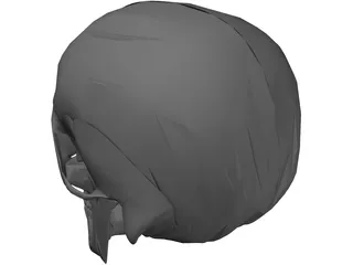 Skull 3D Model