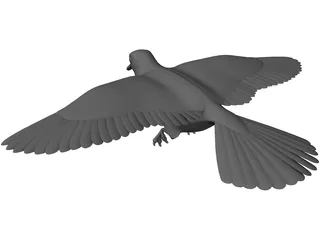 Dove 3D Model