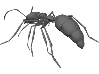 Ant 3D Model