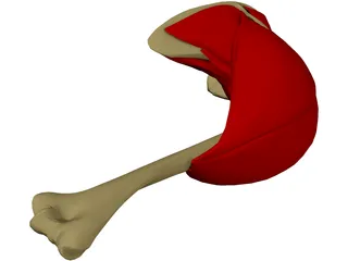 Shoulder 3D Model