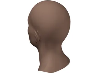 Head Male 3D Model