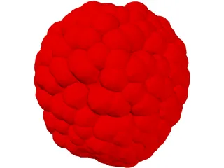 Raspberry 3D Model