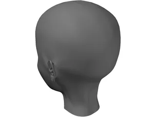 Human Head 3D Model