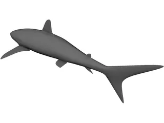 Shark 3D Model