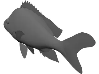 John Dory Type Fish 3D Model