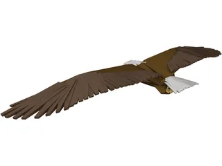 Bald Eagle 3D Model