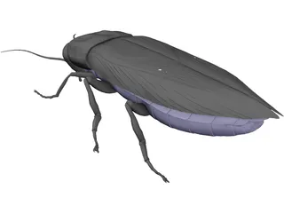 Firebeetle 3D Model