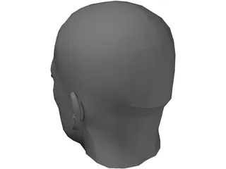 Male Adult Head  3D Model