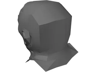 Head 3D Model