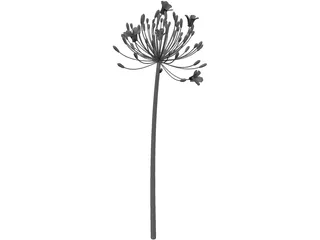 Bell Agapanthus Flower 3D Model