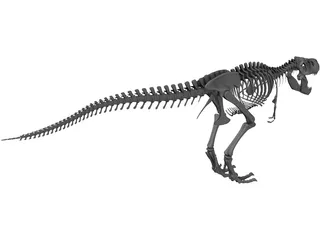 Tyrannosaurus Rex Skeleton 3D Model