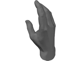 Hand 3D Model